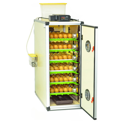 - KULUÇKA GELİŞİM MAKİNESİ CT180 S